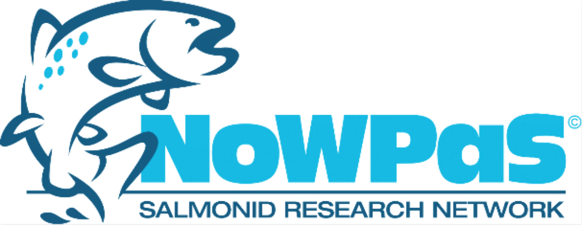 NOWPAS logo