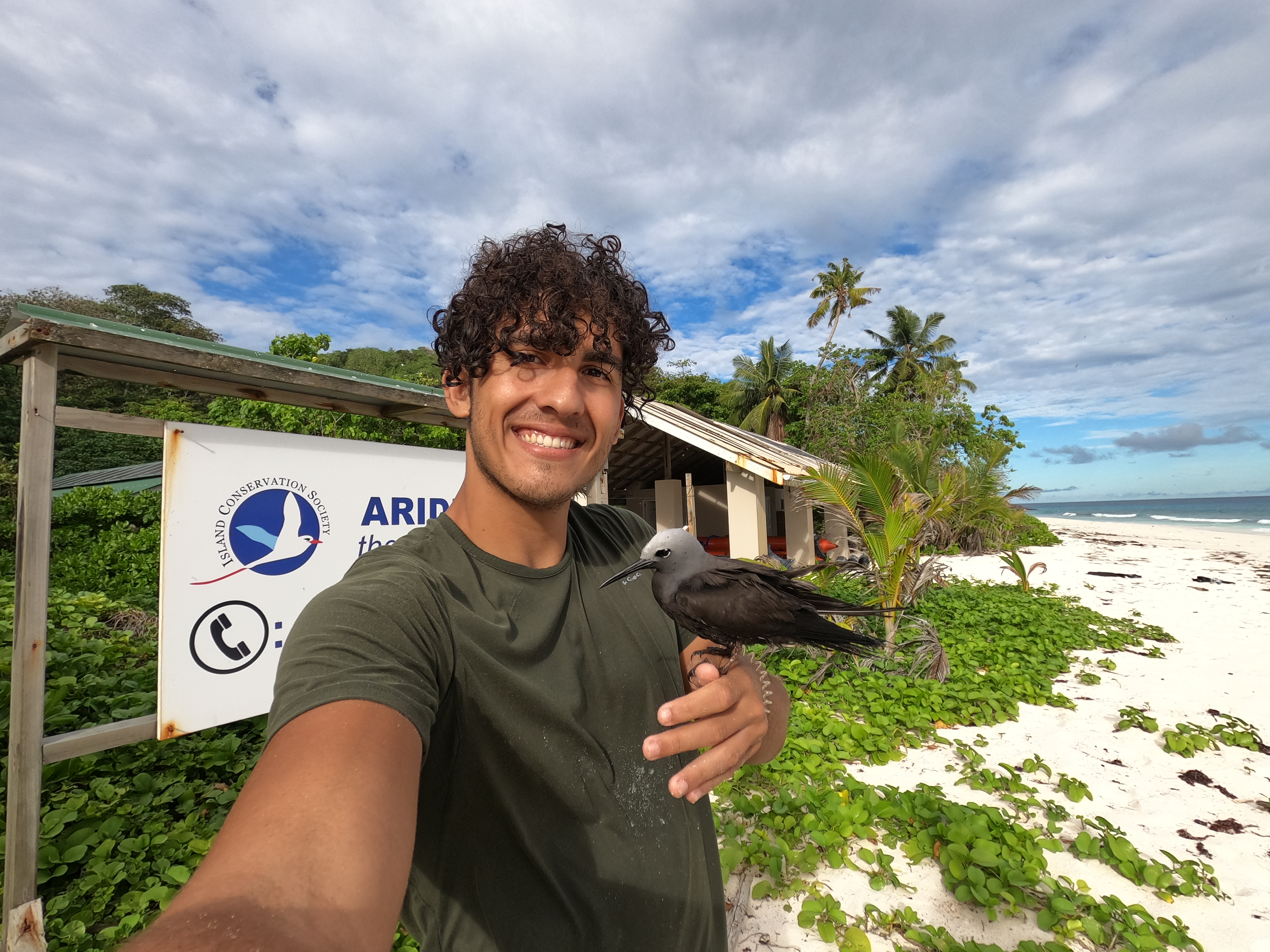 Me and a brown noddy