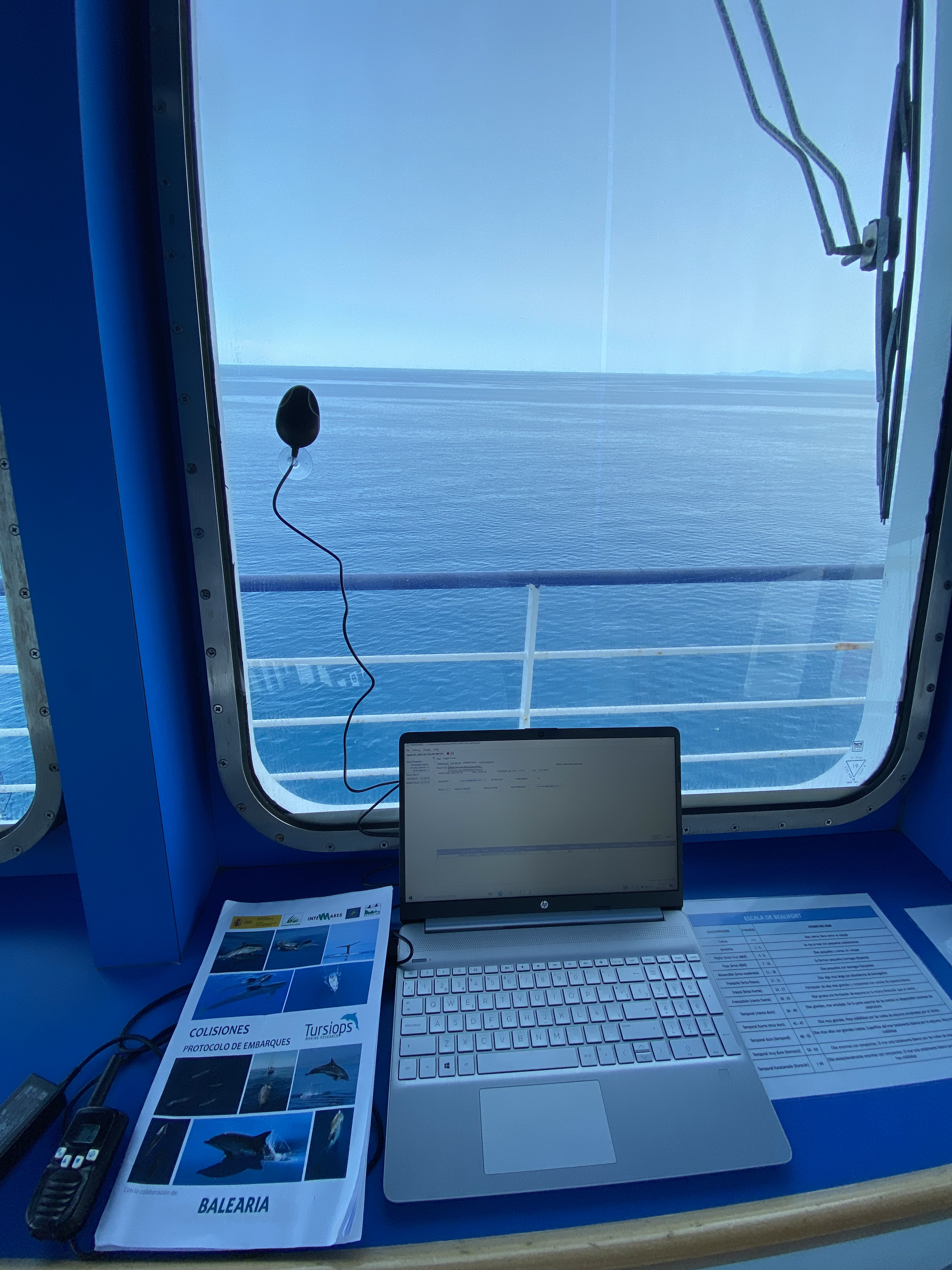 Monitoring cetaceans